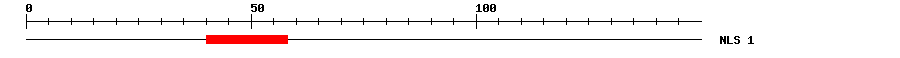 NLS