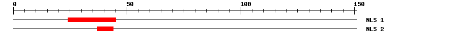NLS