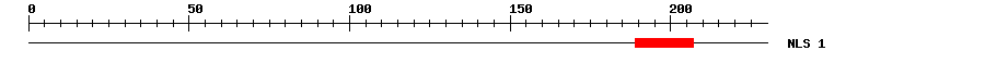 NLS