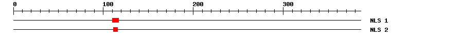 NLS