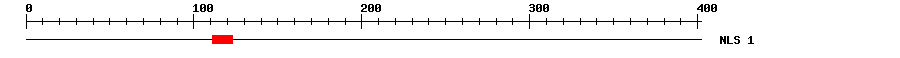 NLS