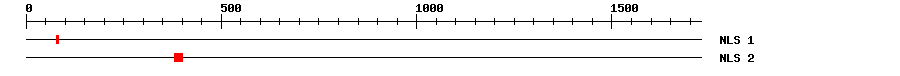 NLS