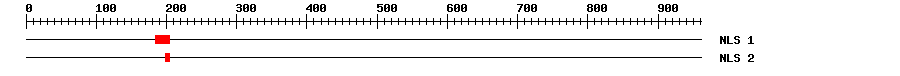 NLS