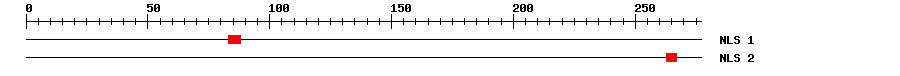 NLS