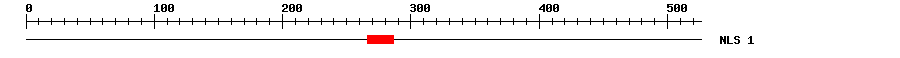 NLS