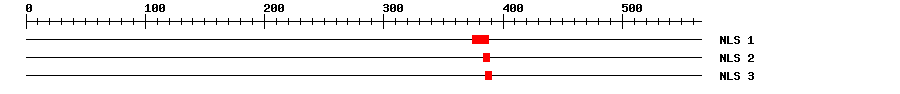 NLS