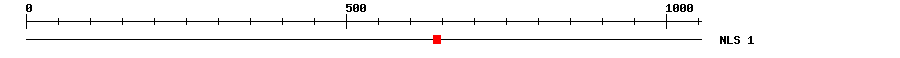NLS