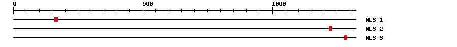 NLS