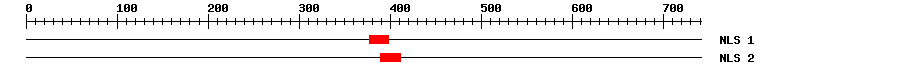 NLS