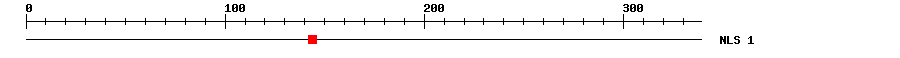NLS