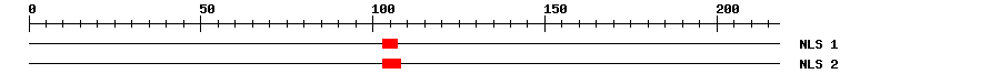 NLS