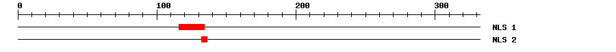 NLS