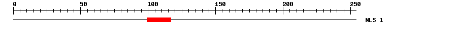 NLS