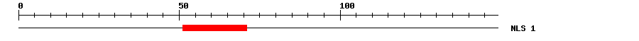 NLS