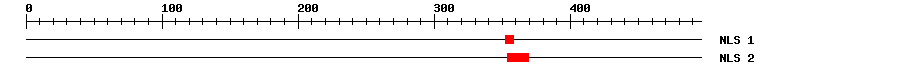 NLS