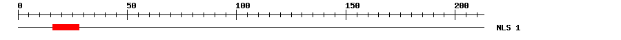 NLS