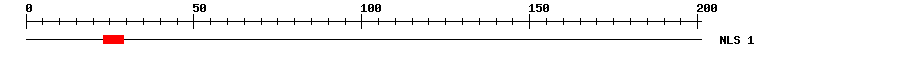 NLS