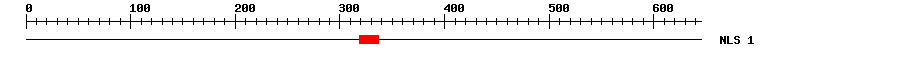 NLS