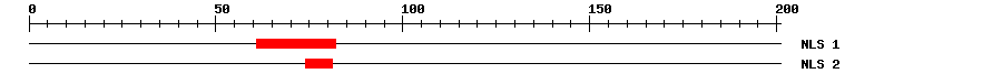 NLS