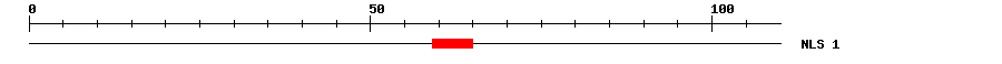 NLS