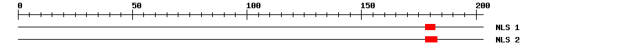 NLS