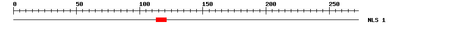 NLS