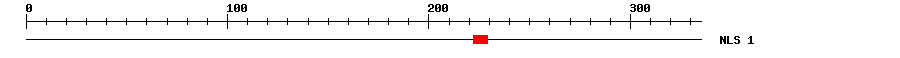 NLS