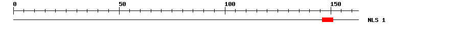 NLS