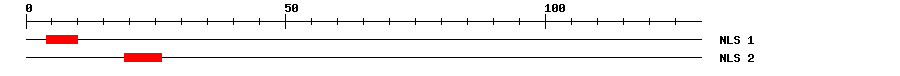 NLS