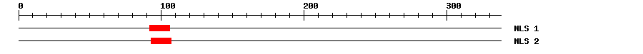 NLS