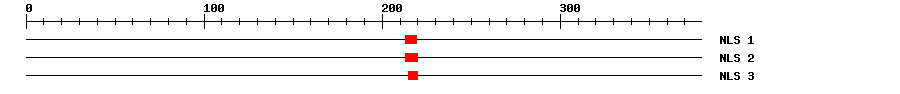 NLS