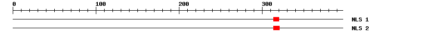 NLS