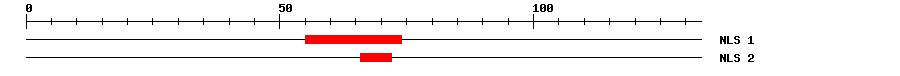 NLS