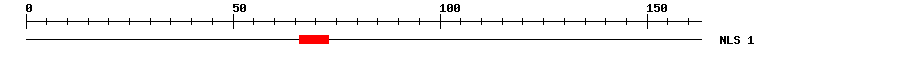 NLS