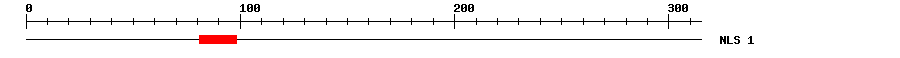 NLS
