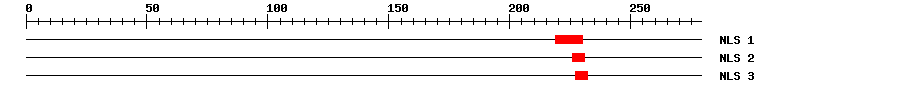 NLS