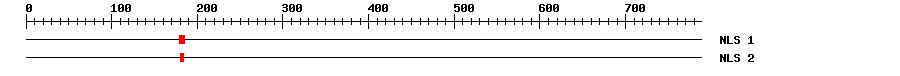 NLS