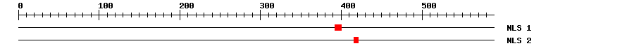 NLS