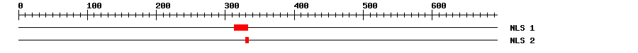 NLS
