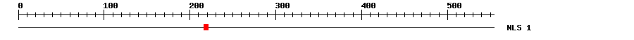 NLS