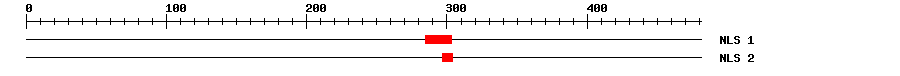 NLS
