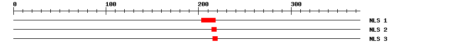 NLS