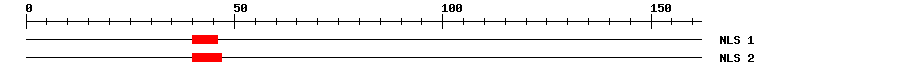 NLS