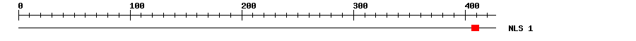 NLS