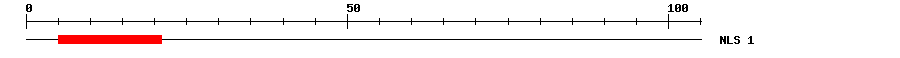 NLS