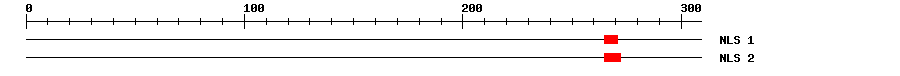 NLS