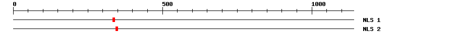 NLS