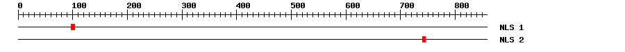 NLS