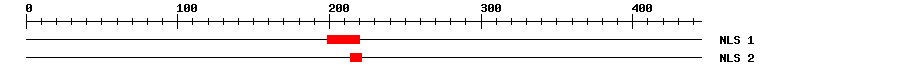 NLS