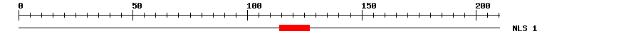 NLS